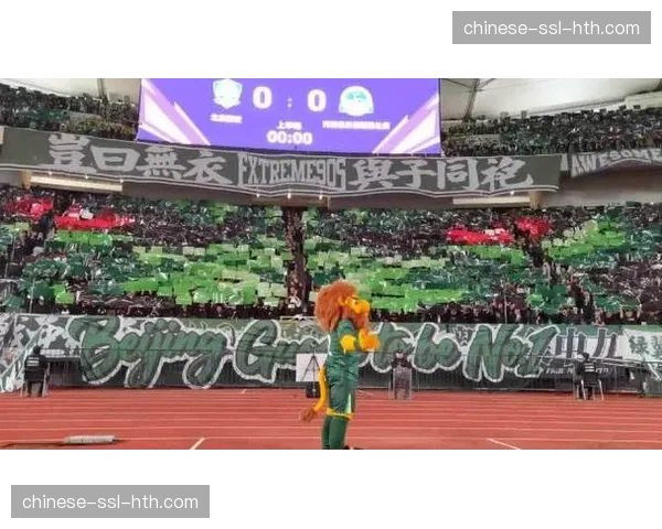 现场花絮:博洛尼亚主场球迷展示巨幅TIFO,致敬功勋主帅莫塔 现场花絮:博洛尼亚主场球迷展示巨幅TIFO,致敬功勋主帅莫塔